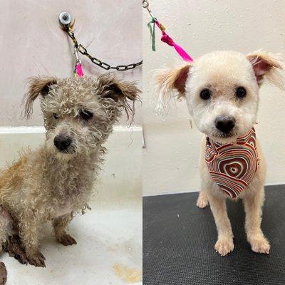 A little before and after cuteness.