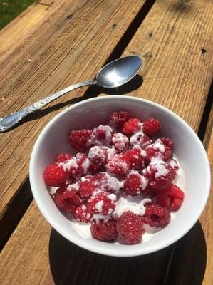 Raspberries and cream - life's simple pleasures.