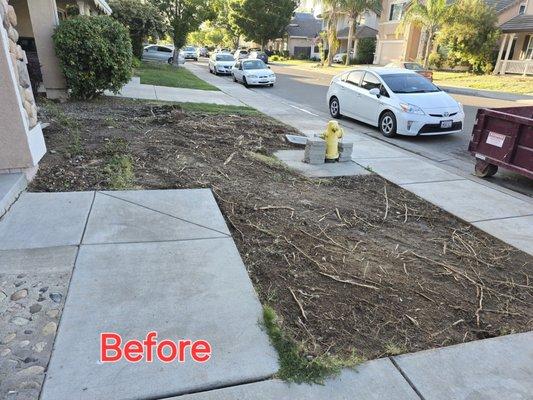 Tree roots growing everywhere and it lifted the water meter box. John and his team got all the roots out and cleaned it up nicely.