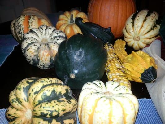 These were part of my last two harvest shares. So many  yummy "squish"and only one squash lover!