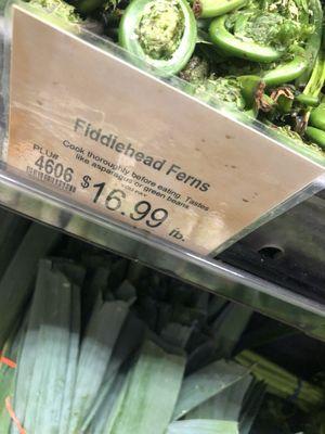 Fiddleheads