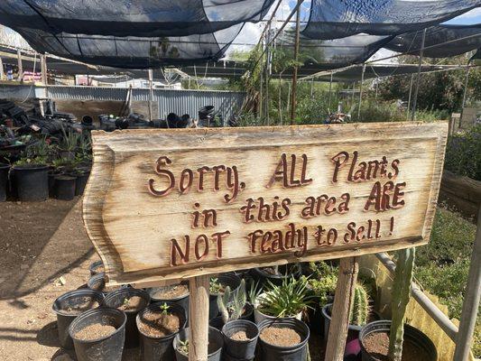 Distinctive Earthscapes At The Avocado Nursery