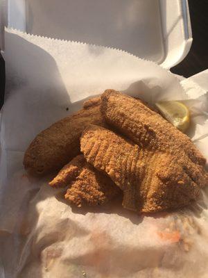 2 piece Tilapia Fish