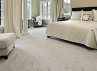 Steamline Carpet Cleaner