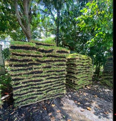 Sod available by the piece and per pallet, best prices locally.