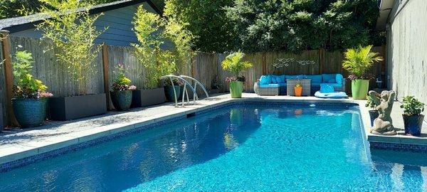 Customer photo of poolside Ph. spectabilis