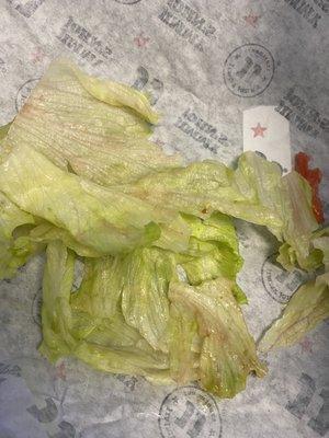 Unwich lettuce