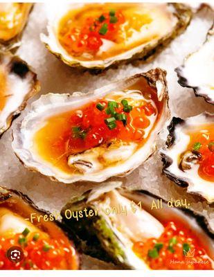 fresh oyster just $1 for all day