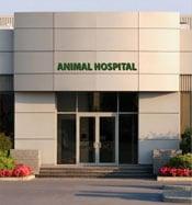 Robinson Animal Hospital Office