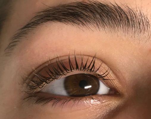 Lash Lift