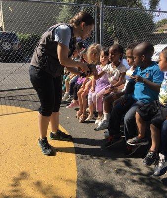 Mobile zoo at the preschool