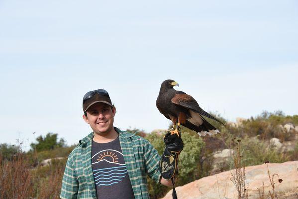 Sky Falconry