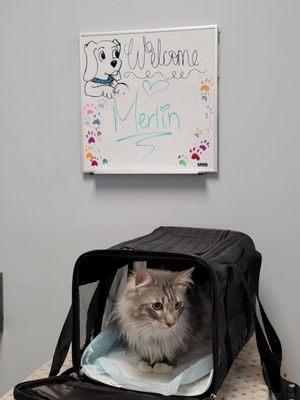 Clean room and cute welcome sign