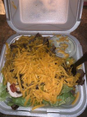 Steak Salad (w/o fries and bell peppers) .. huge and yummy