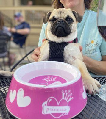 The restaurant provides water for their pet visitors...