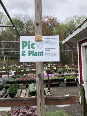 Deceiving Pic and Plant sign.