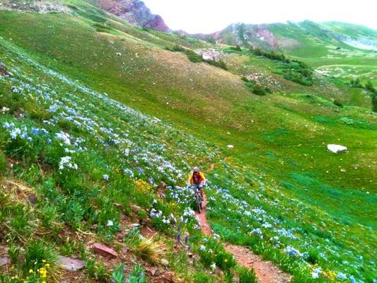 Colorado Trail