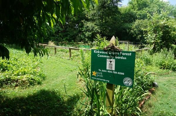 The garden area