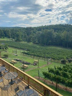 Outdoor deck looking over the vineyard