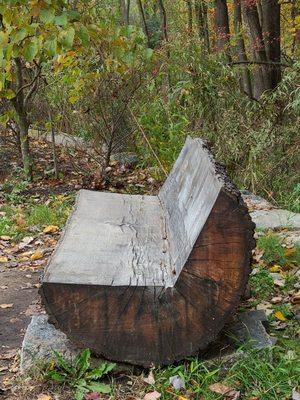 The Giving Tree at Rockefeller State Park Preserve