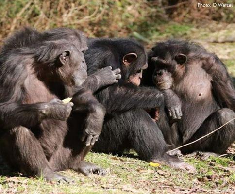 Jackson Zoological Park