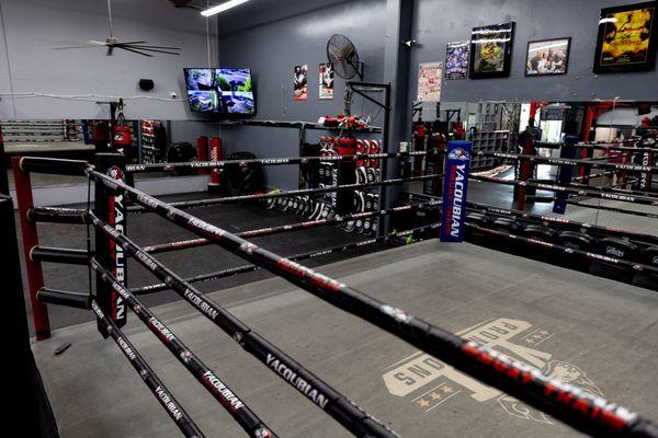 view from standing on boxing ring