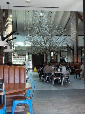 The anchoring tree inside the restaurant