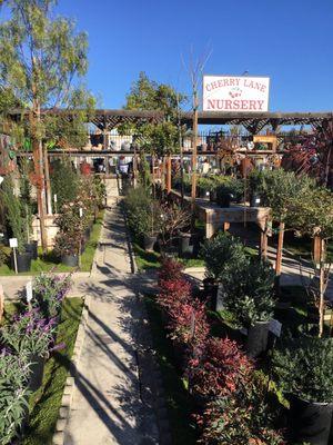 Beautiful garden to wander through.