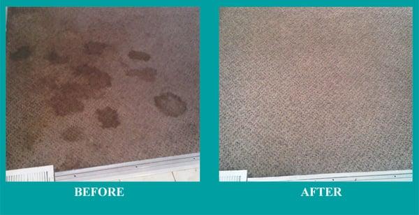 The Carpet Solutions - UT Carpet Cleaning Professionals - Before and After