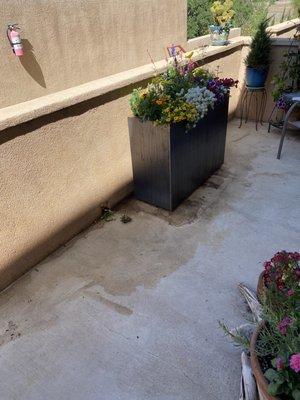 Patio and breezeway stained from organic soils used in a raised planter. And then, the Pros came in and made it immaculate.