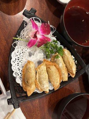 Gyoza