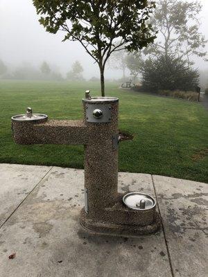 Water fountains for your furry companions :)