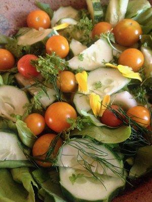 Awesome summer salad!