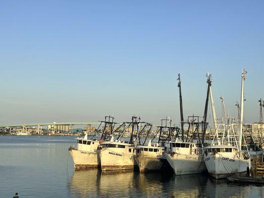 Boats at the dock