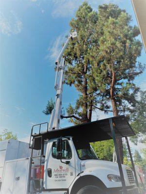 Arborwell uses a bucket truck when we have access