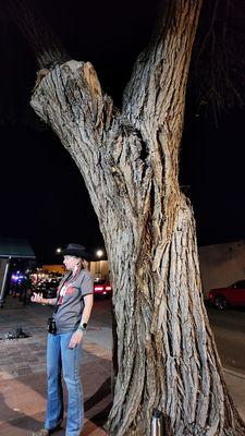 Undertaker hanging tree ghost stop. 110 minute ghost tour. October 2024