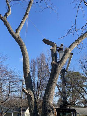 Rigging with the bucket