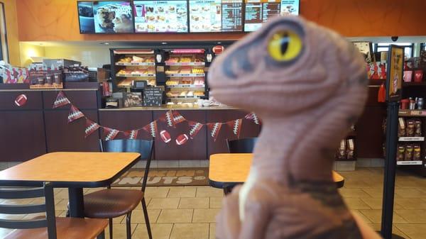 Bob the Raptor Says "This is a really good place for Donut Prey." See Bob's Full video review... https://youtu.be/v_Sv0VDUxDU