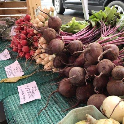 Natures beautiful fall bounty