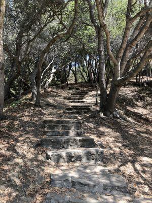 Stairs leading up a hill that overlooks the park