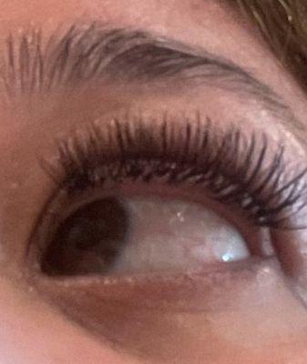 I have zero eyelashes and have been taking a break and decided to do them today 61524!  Let's see how long they last...