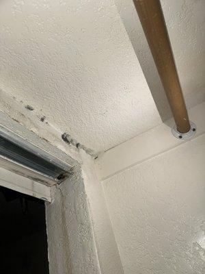 Mold and a leak