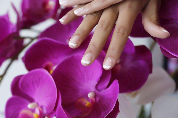 Gel manicure with french