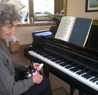 Claire the cat gets a piano lesson