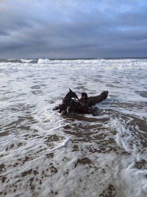 Playing in the waves