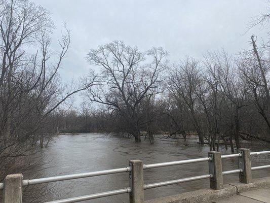 Due to heavy rain River extended while tree debris blocking water flow