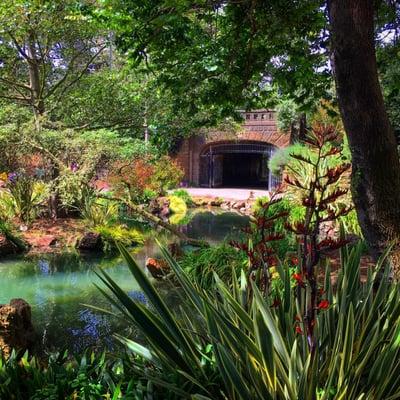 Alvord Lake in Golden Gate Park