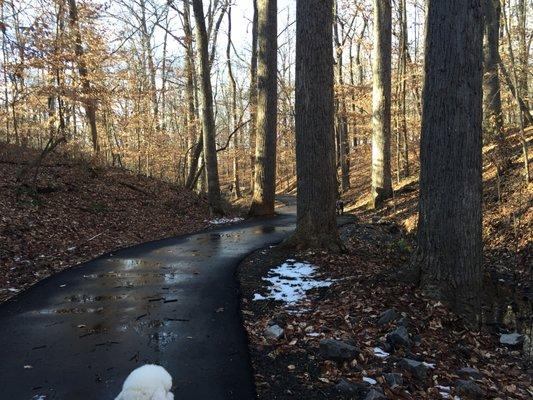 Paved Walking Trail