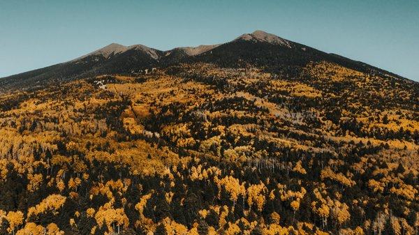 Flagstaff, Arizona