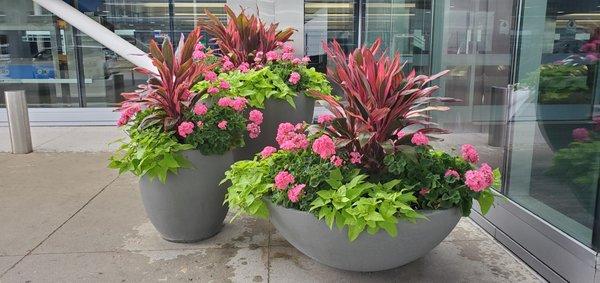 Summer pots at the airport